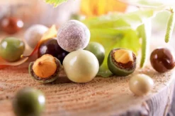 Bonbons au chocolat François Doucet Noisettes de nos Forêts 100g