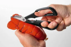 Ciseaux à crustacés MoHA! Scampo démontables inox et ABS