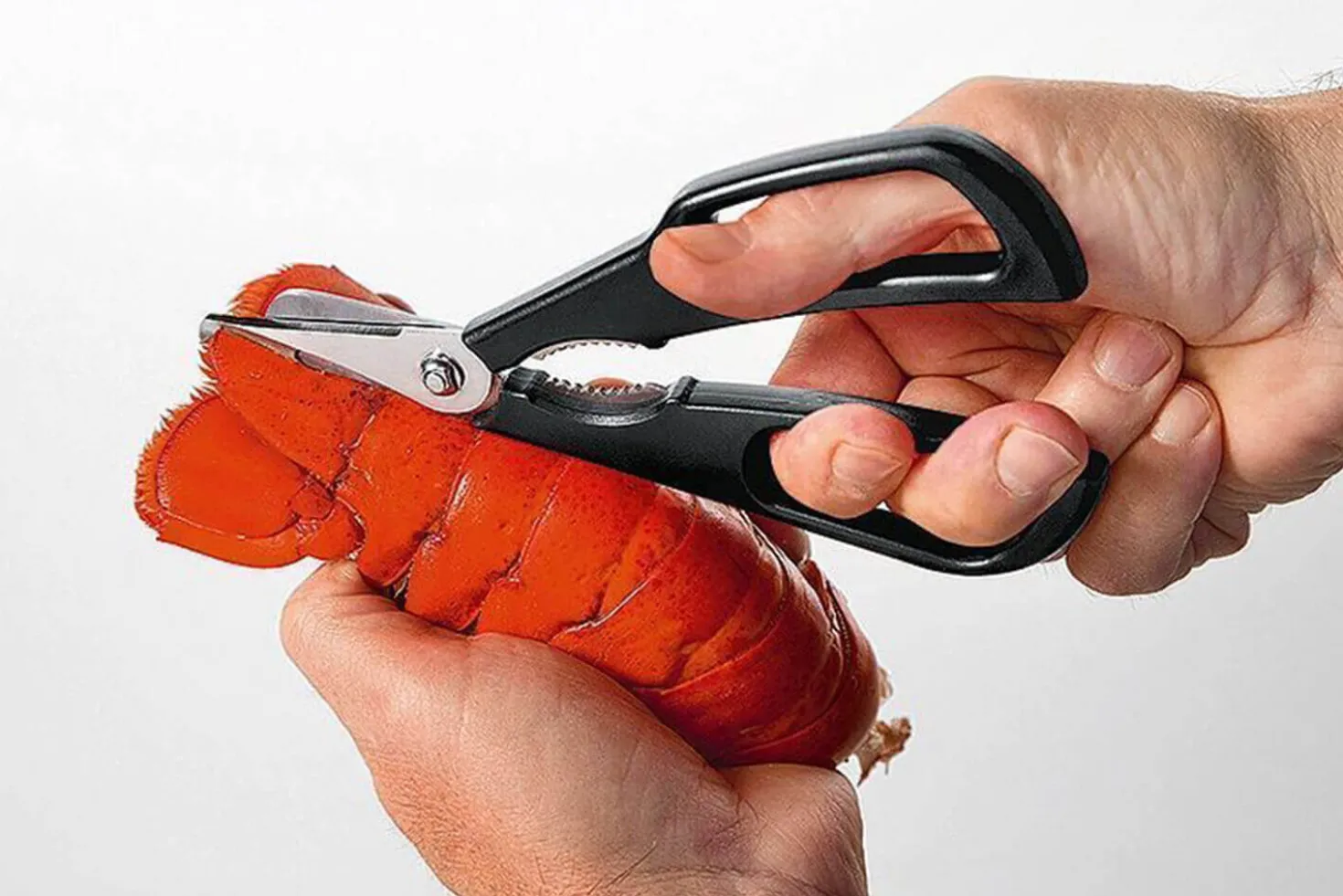 Ciseaux à crustacés MoHA! Scampo démontables inox et ABS