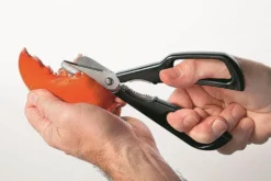 Ciseaux à crustacés MoHA! Scampo démontables inox et ABS
