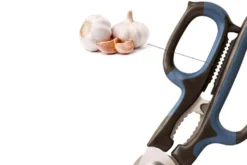 Ciseaux de cuisine professionnels Anysharp 5 fonctions intégrées