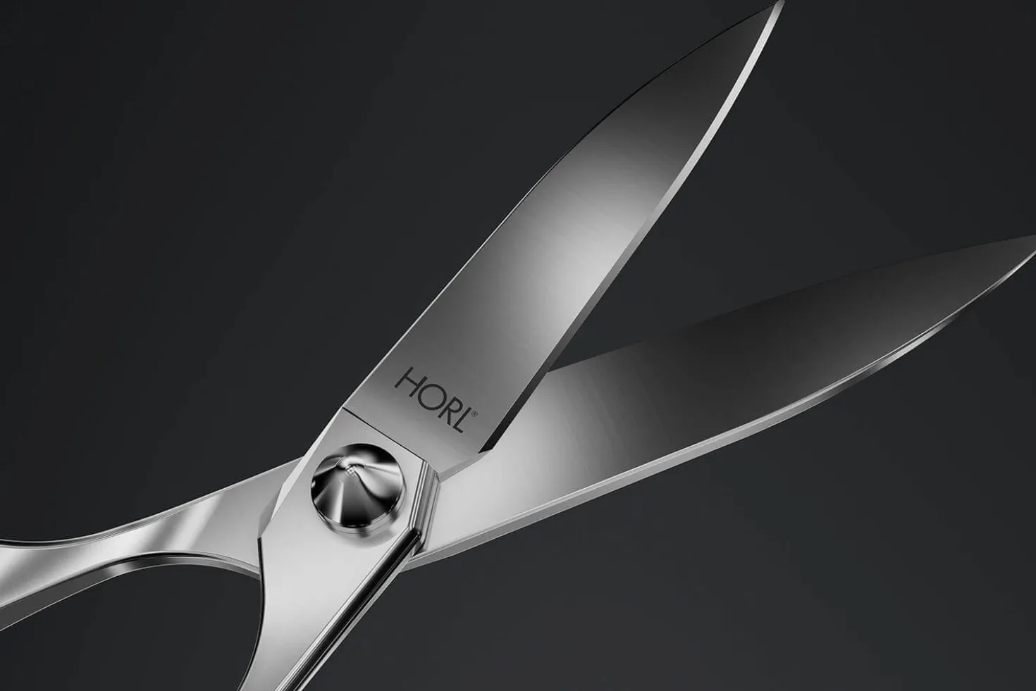 Ciseaux professionnels HORL® haut de gamme séparables