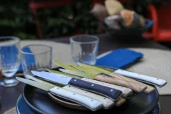 Coffret 4 couteaux de table Opinel Facette Panaché lame 11cm inox lisse
