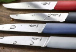 Coffret 4 couteaux Opinel Bon Appétit+ Primo 11cm inox