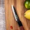 Coffret 2 couteaux Sayuto Séquoia San Mai Santoku + Office