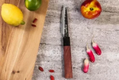 Coffret 2 couteaux Sayuto Séquoia San Mai Santoku + Office