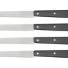 Coffret de 4 couteaux de table Opinel N°125 Pro lames micro dentées 11cm