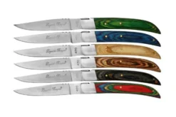 Coffret de 6 couteaux de table Prestige Laguiole Bougna manches bois colorés