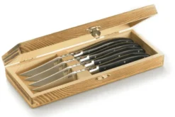 Coffret de 4 couteaux à steak Gefu Basco lame microdentée en acier japonais