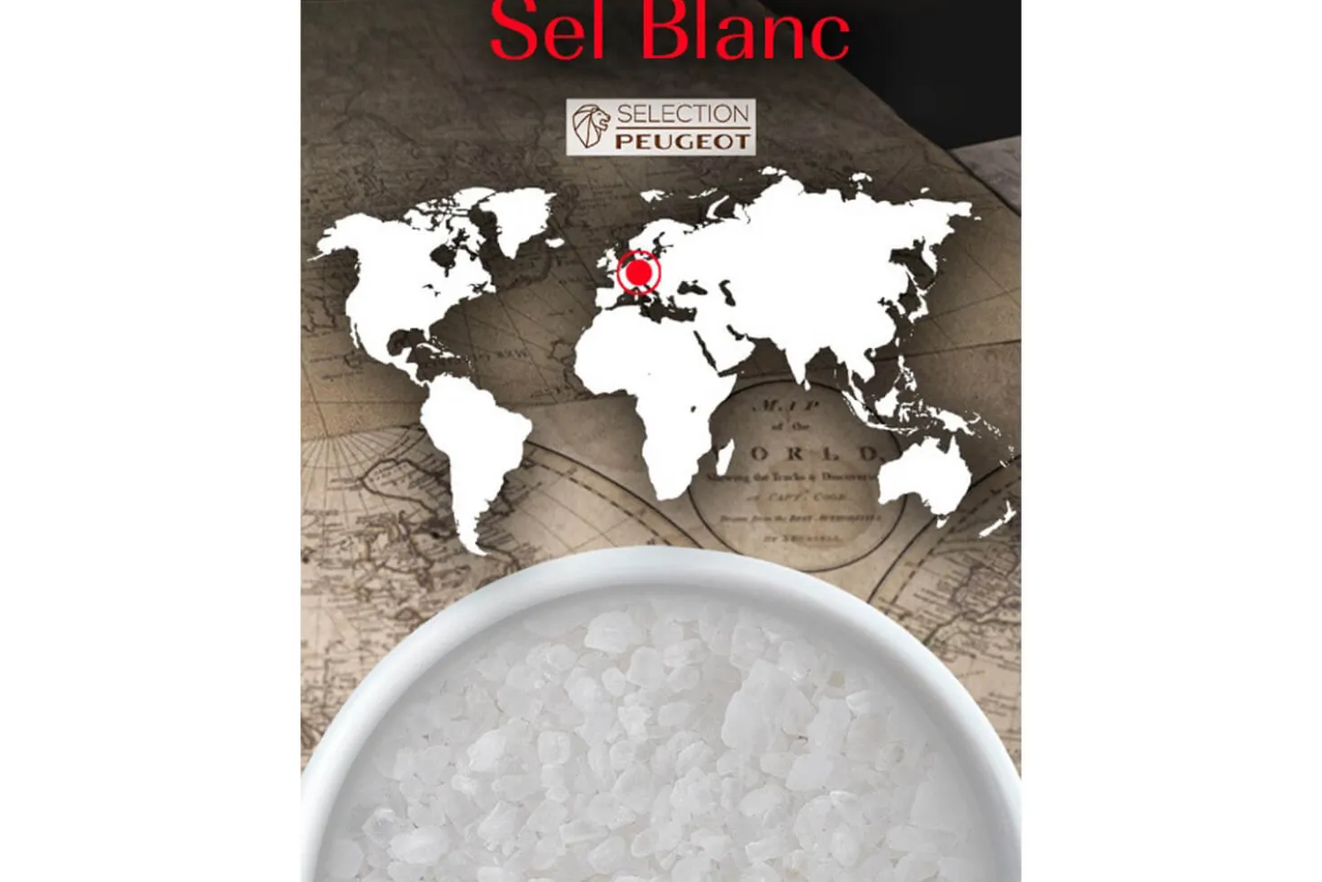 Coffret de 7 sachets fraîcheur Peugeot gros sel blanc d'Allemagne - 7x50g