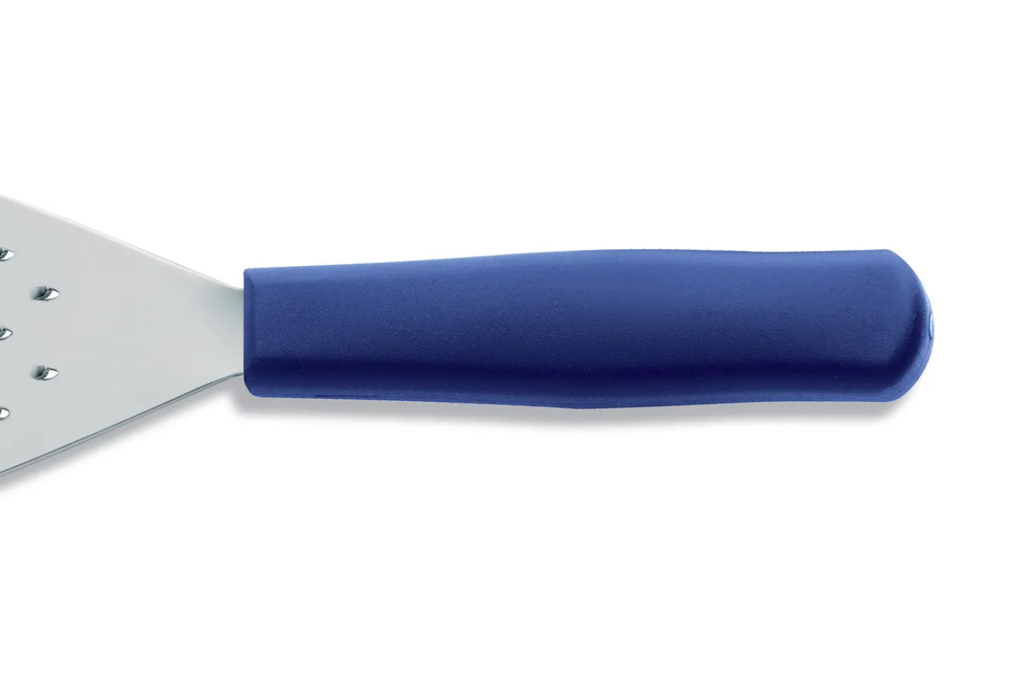Couteau à écailler 10cm DICK manche bleu normes NSF