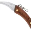 Couteau à champignon Maserin 12cm + brosse intégrée
