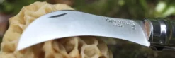 Couteau à champignon Opinel N°08 + brosse intégrée