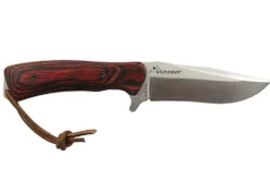 Couteau de chasse Wildsteer Byron Ferguson WBF0102 lame 11cm manche cocobolo + étui en cuir