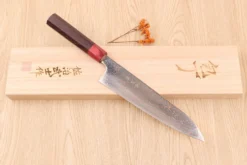 Couteau de chef 21cm japonais artisanal Takeshi Saji VG10 Rainbow