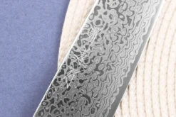 Couteau de chef 21cm japonais Sakai Takayuki Ginga damas