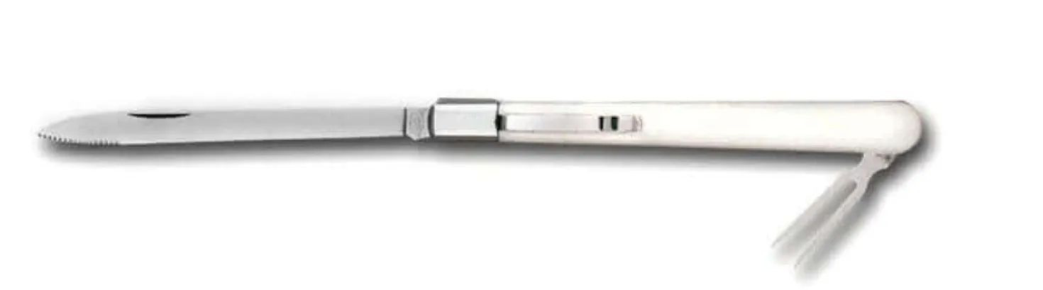 Couteau de dégustation Bargoin pliant pour fromages lame 11cm inox