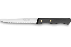 Couteau de table microdenté SABATIER Cuisine d'aujourd'hui 10,5cm