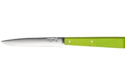 Couteau de table Opinel Bon Appétit Bois n°125 lame 11cm en inox manche en charme pomme