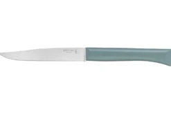 Couteau de table Opinel Bon Appétit + lame 11cm en inox manche en polymère sauge