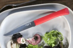 Couteau de table Opinel Bon Appétit + lame 11cm en inox manche en polymère rouge