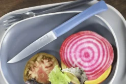 Couteau de table Opinel Bon Appétit + lame 11cm en inox manche en polymère bleu