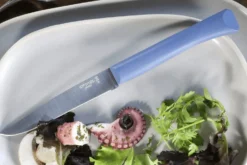 Couteau de table Opinel Bon Appétit + lame 11cm en inox manche en polymère bleu