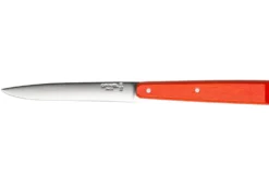 Couteau de table Opinel Bon Appétit Bois n°125 lame 11cm en inox manche en charme mandarine
