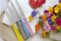 Couteau de table Opinel Bon Appétit Bois n°125 lame 11cm en inox manche en charme rose