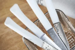 Couteau de table Opinel Bon Appétit + lame 11cm en inox manche en polymère nuage
