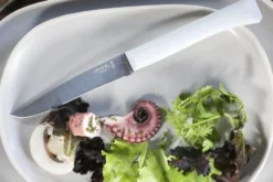 Couteau de table Opinel Bon Appétit + lame 11cm en inox manche en polymère nuage