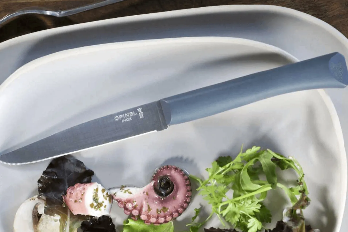 Couteau de table Opinel Bon Appétit + lame 11cm en inox manche en polymère anthracite