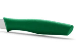 Couteau d'office Arcos Nova lame dentée 10cm manche vert