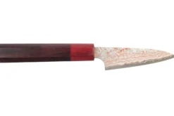Couteau d'office 9cm japonais artisanal Takeshi Saji VG10 Rainbow Nashiji