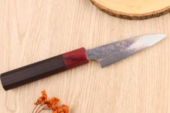 Couteau d'office 9cm japonais artisanal Takeshi Saji VG10 Rainbow