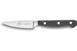 Couteau d'office Sabatier International Pluton lame 9cm manche riveté