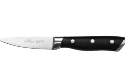 Couteau d'office Sabatier International Hercules lame 9cm manche ABS 3 rivets