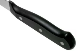 Couteau à filet de sole Wüsthof Gourmet lame flexible 20cm
