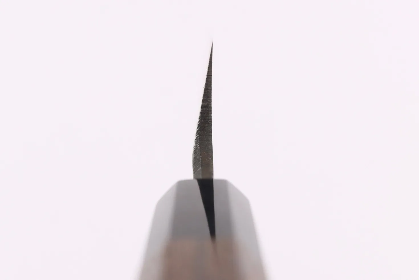 Couteau gyuto asymétrique 21cm japonais artisanal Hatsukokoro Shirasagi manche en wengé