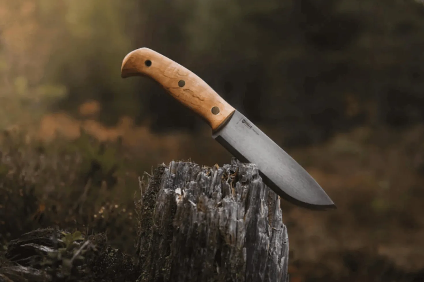 Couteau Helle Nord H670 lame en acier 14,7cm manche en bouleau frisé + étui en cuir