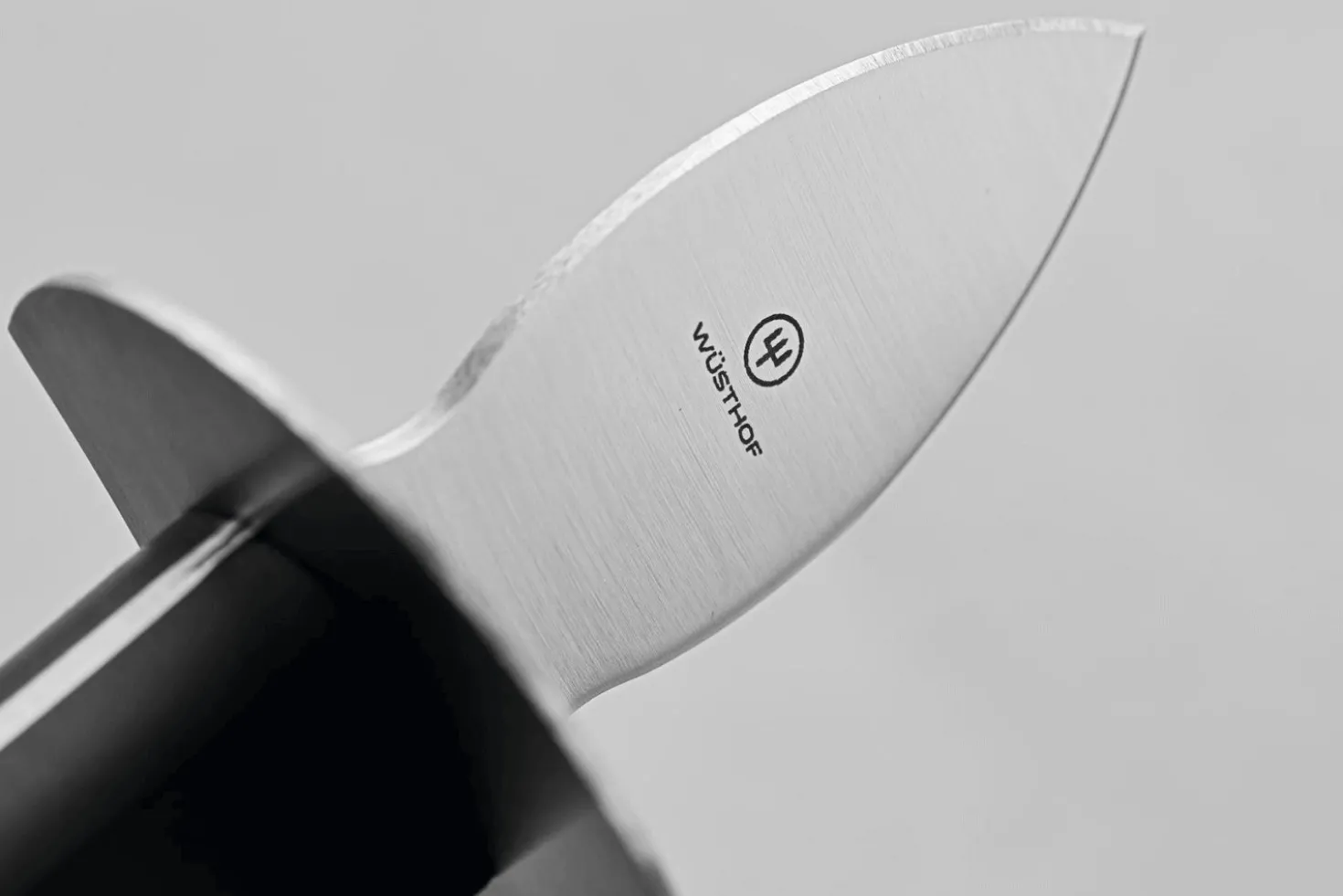Couteau à huîtres Wüsthof Gourmet 6cm