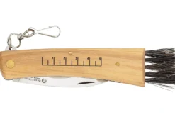 Couteau pliant à champignons Maserin manche olivier 12cm + brosse intégrée