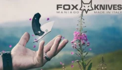 Couteau pliant FOX Bastinelli FX-519ZW BB Drago ziricote 6,5cm + étui