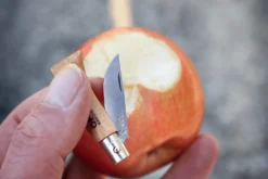 Couteau pliant Opinel Tradition Inox n°02 lame 3,5cm manche hêtre