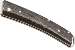 Couteau pliant Salamandra manche corne de buffle 9cm