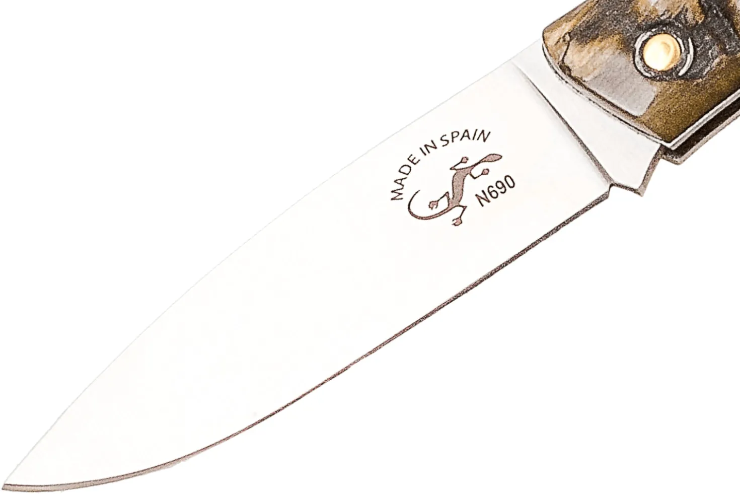 Couteau pliant Salamandra manche corne brute 9cm