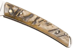 Couteau pliant Salamandra manche corne brute 9cm
