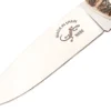 Couteau pliant Salamandra manche corne de cerf 9cm avec passe-lanière