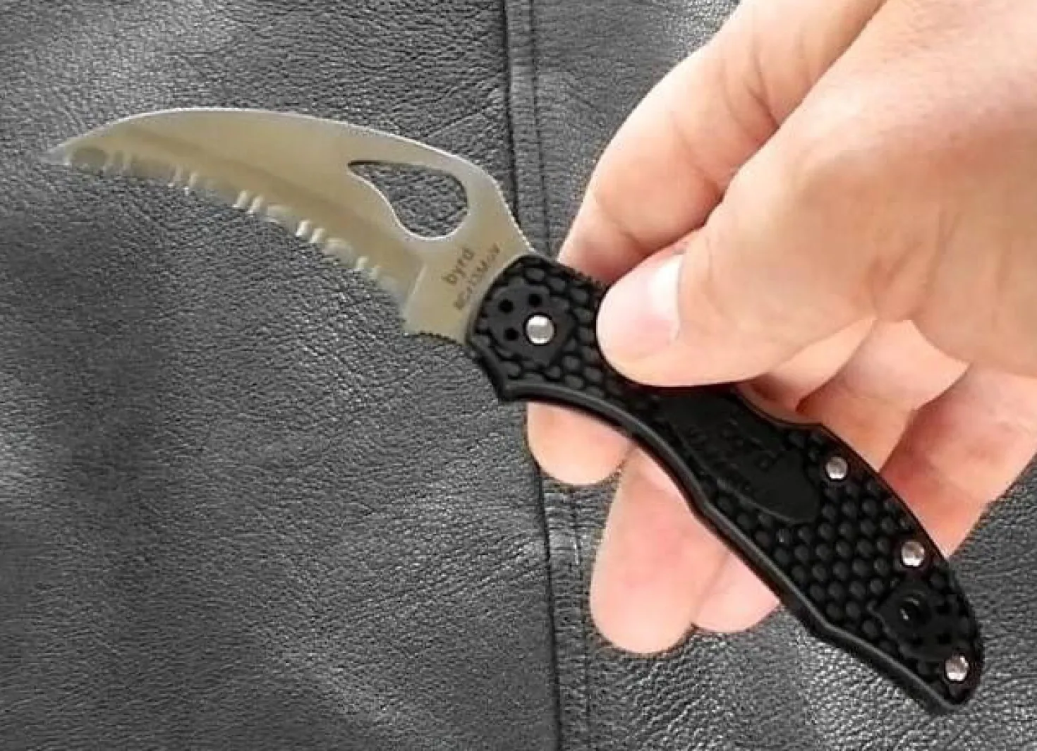 Couteau pliant Spyderco BYRD Hawkbill lame à dents manche noir 10cm