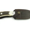 Couteau Puma IP Schwarzwild 338212 lame guthook 12cm manche bois de cerf + étui en cuir